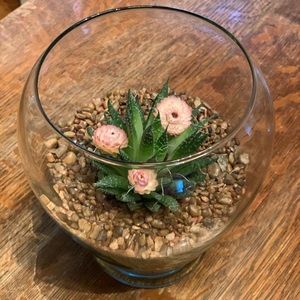 Meet your Posher, K!